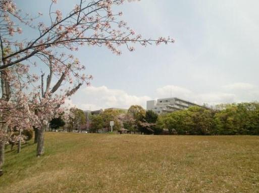 堺市南区桃山台3丁　売土地 公園