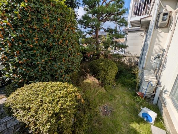 京都市伏見区久我東町　中古テラスハウス 現地写真（庭）