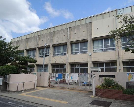 ベルク浜寺公園 小学校