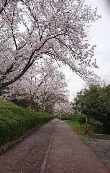 堺市南区原山台1丁　中古戸建 公園