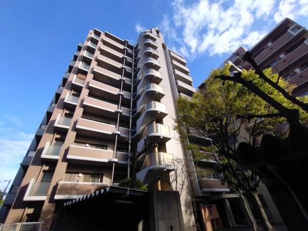 ラウムズ菅原ノースヒル 現地写真（その他）