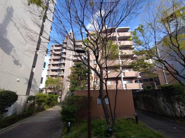 ラウムズ菅原ノースヒル 現地写真（その他）