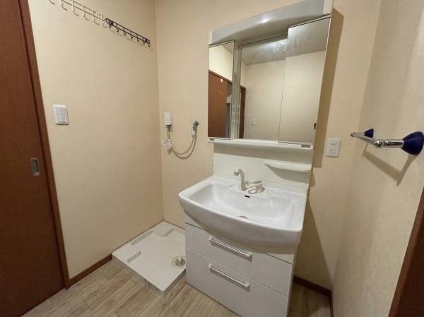 東大阪市岸田堂南町　中古戸建 内観写真（洗面台・洗面所）
