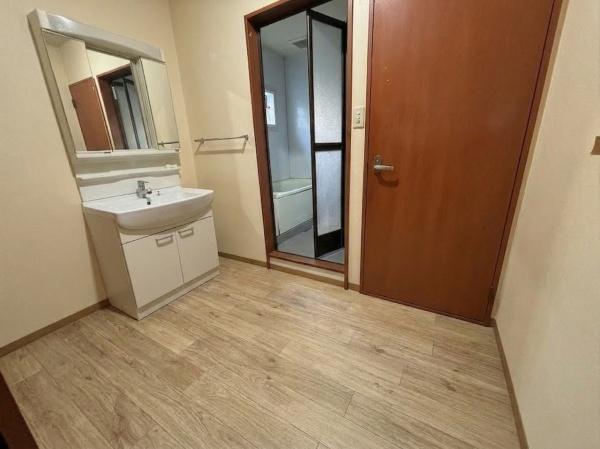 東大阪市岸田堂南町　中古戸建 内観写真（洗面台・洗面所）