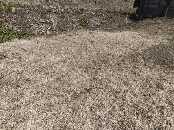 京都市右京区京北小塩町丸山　建築条件無売土地 現地写真