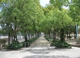 大阪市大正区泉尾3丁目　中古戸建 公園