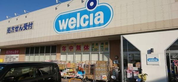 羽曳野市向野1丁目　中古戸建 ドラッグストア