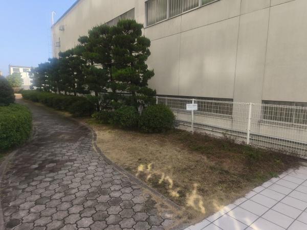 コスモワンダータウン 現地写真（その他）