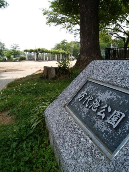 フィオーレ帝塚山 公園