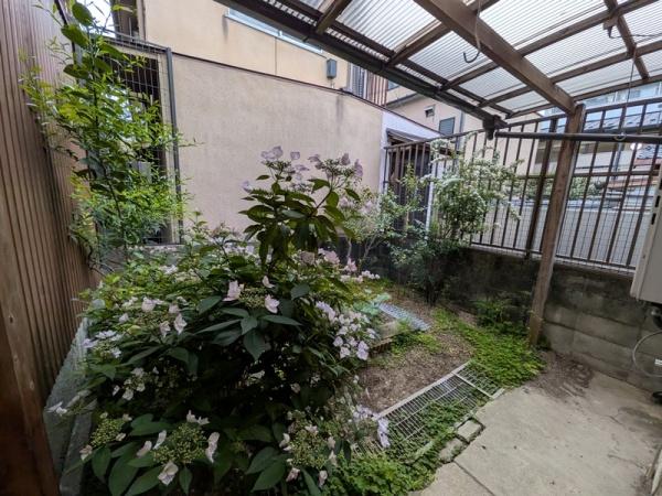 京都市上京区六番町　中古戸建 現地写真（庭）