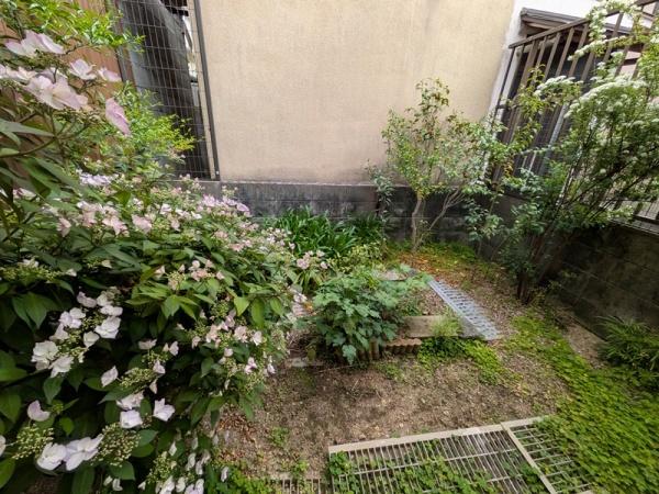 京都市上京区六番町　中古戸建 現地写真（庭）