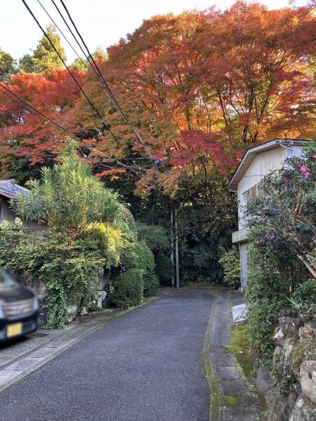 京都市山科区日ノ岡夷谷町　中古戸建 現地写真（前面道路含む現地写真）