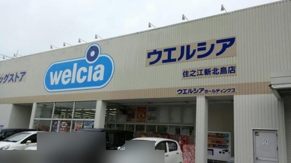 ダイアパレス住之江公園 ドラッグストア