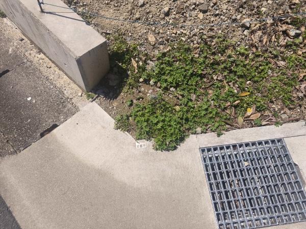 京都市伏見区日野奥出　建築条件無売土地 現地写真