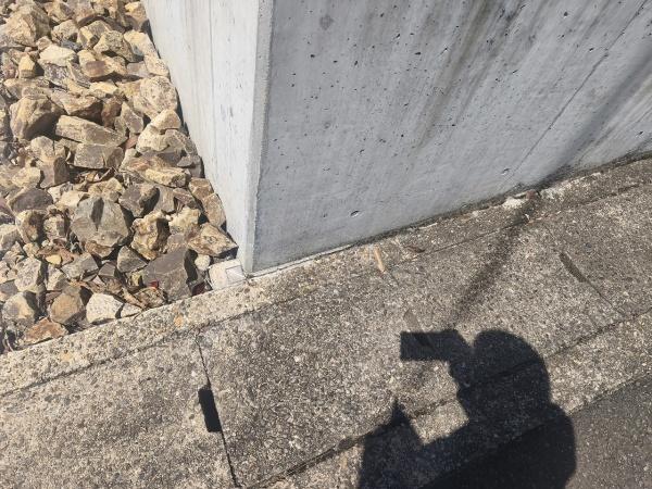 京都市伏見区日野奥出　建築条件無売土地 現地写真