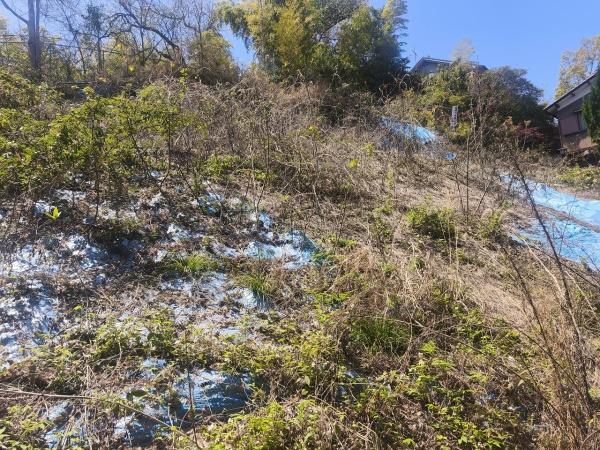 京都市伏見区桃山町遠山　建築条件無売土地 現地写真