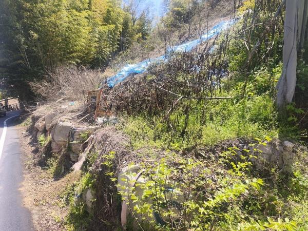 京都市伏見区桃山町遠山　建築条件無売土地 現地写真