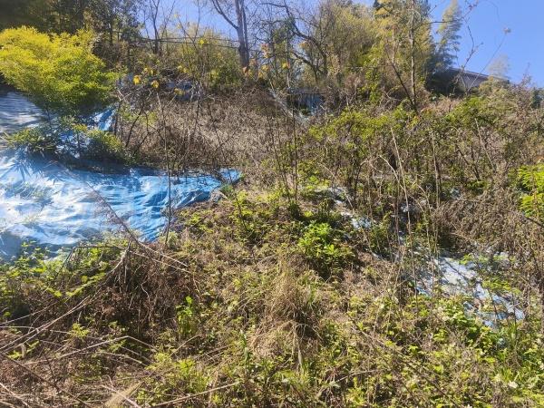 京都市伏見区桃山町遠山　建築条件無売土地 現地写真