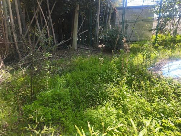 京都市伏見区桃山町遠山　建築条件無売土地 現地写真