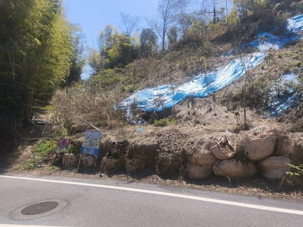京都市伏見区桃山町遠山　建築条件無売土地 現地写真