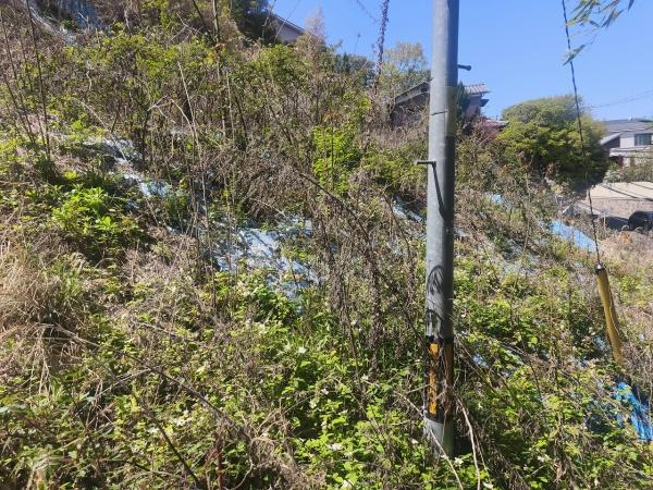 京都市伏見区桃山町遠山　建築条件無売土地 現地写真