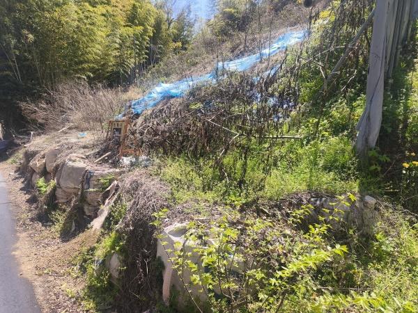京都市伏見区桃山町遠山　建築条件無売土地 現地写真