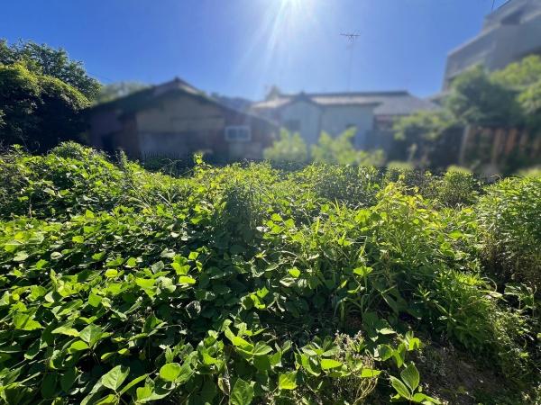京都市右京区嵯峨柳田町　建築条件無売土地 現地写真