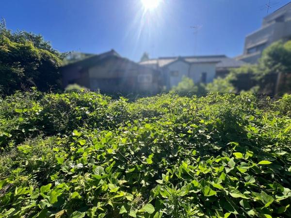 京都市右京区嵯峨柳田町　建築条件無売土地 現地写真