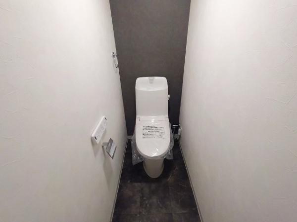 グリーンハイツ十三 内観写真（トイレ）