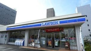 エルグリーンたつみ コンビニ