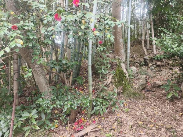 京都市北区大宮釈迦谷　建築条件無売土地 現地写真