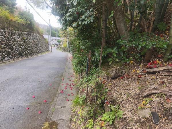 京都市北区大宮釈迦谷　建築条件無売土地 現地写真（前面道路含む現地写真）