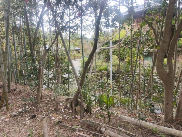 京都市北区大宮釈迦谷　建築条件無売土地 現地写真