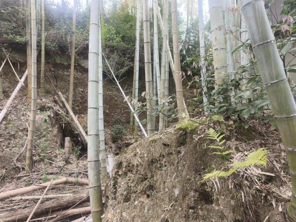 京都市北区大宮釈迦谷　建築条件無売土地 現地写真