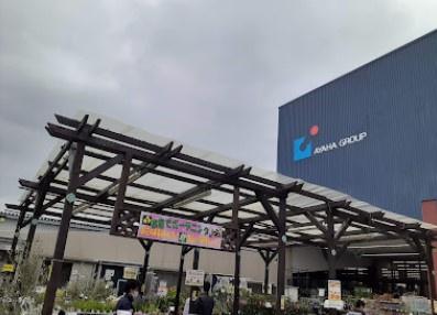イニシア桂大橋 ホームセンター