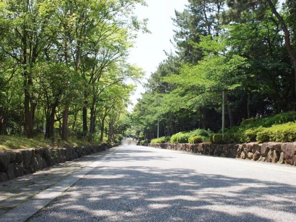 緑地公園ロイヤルマンション 公園