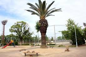 大阪市此花区春日出中1丁目　中古テラスハウス 公園