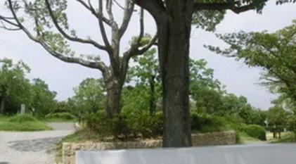 和泉市王子町　中古戸建 公園