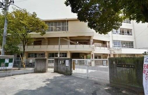 高石市千代田1丁目　中古戸建 小学校