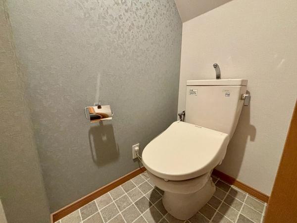 堺市堺区浅香山町1丁　中古戸建 内観写真（トイレ）
