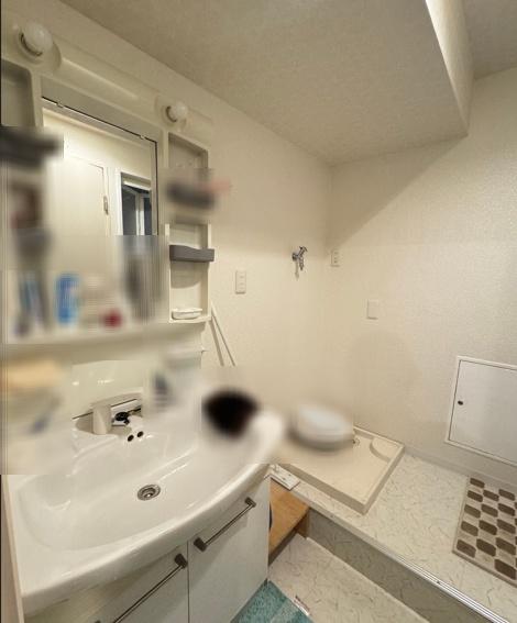 大手前ストークマンション 内観写真（洗面台・洗面所）