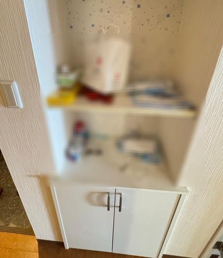 大手前ストークマンション 内観写真（収納）