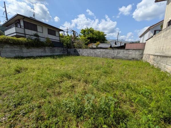 京都府京都市北区平野上柳町 現地写真