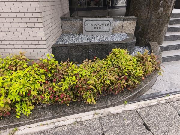 パーク・ハイム宝ヶ池銀杏館 共用部写真（エントランス）