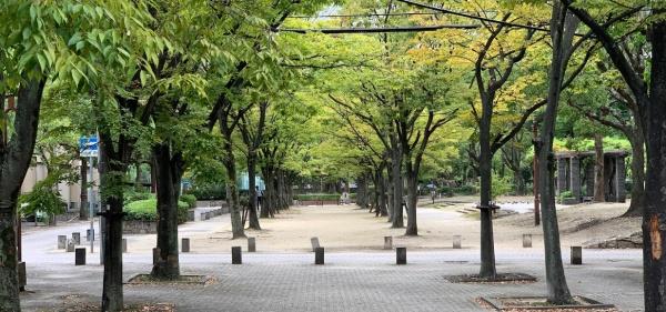 尼崎市大庄中通2丁目　中古テラスハウス 公園