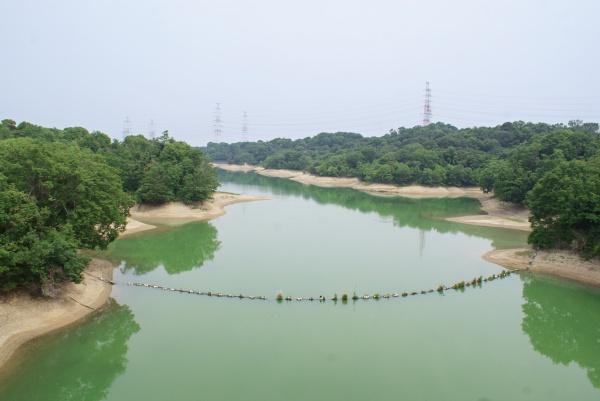 和泉市善正町　中古戸建 その他