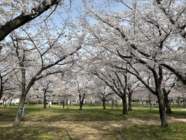 大阪市大正区平尾２丁目　中古戸建 公園