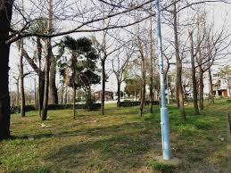 大阪市住之江区泉1丁目　中古戸建 公園