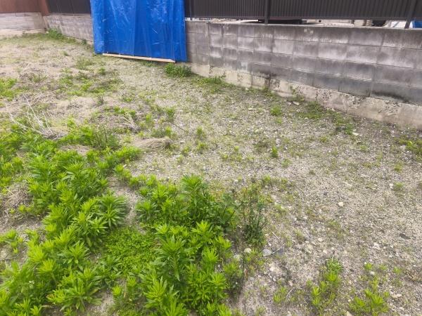 京都市東山区山崎町　建築条件無売土地 現地写真