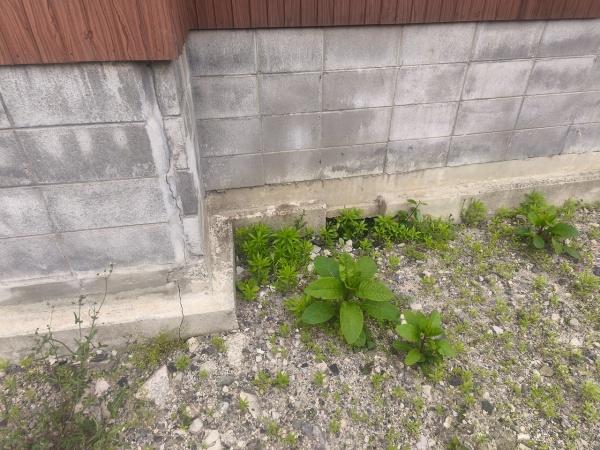 京都市東山区山崎町　建築条件無売土地 現地写真